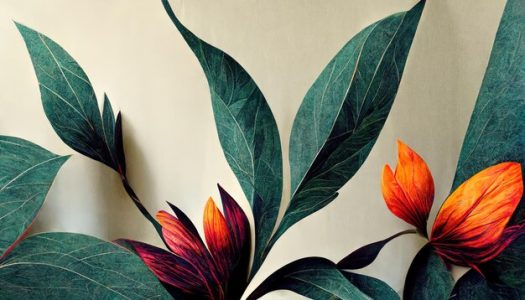 Вирощування актинідії в штаті Орегон | Малина Copy